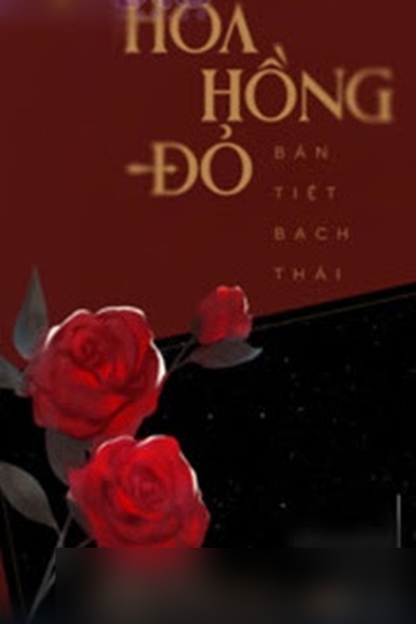 Hoa Hồng Đỏ